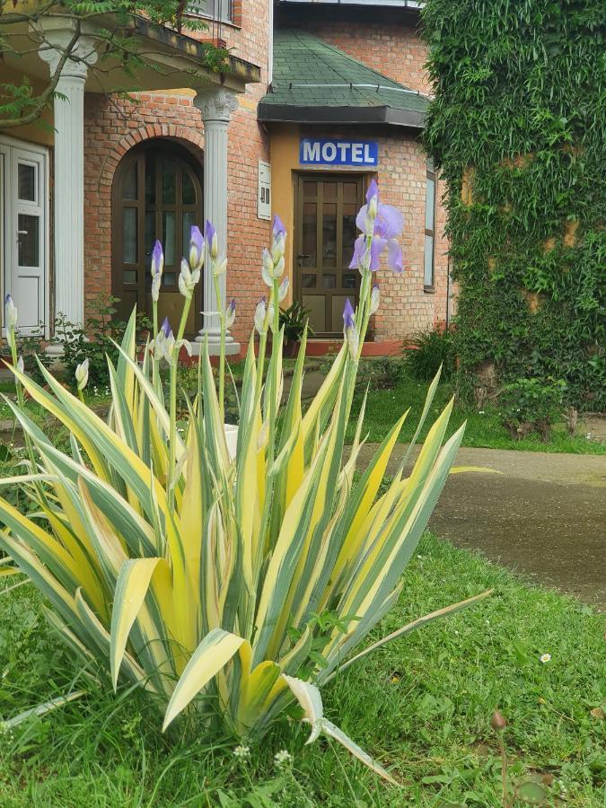 Motel Zoka Dvorovi エクステリア 写真